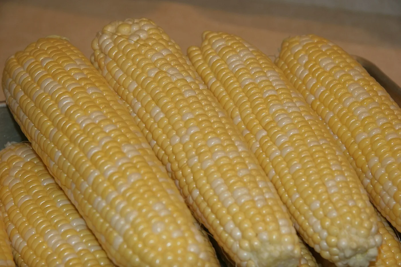 Maize — Southern Highlands & Rift Valley, Tanzania