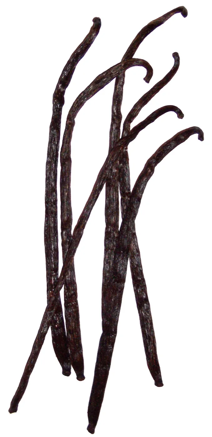 Vanilla — Uganda & Tanzania — Bundibugyo, Mbale & Tanga
